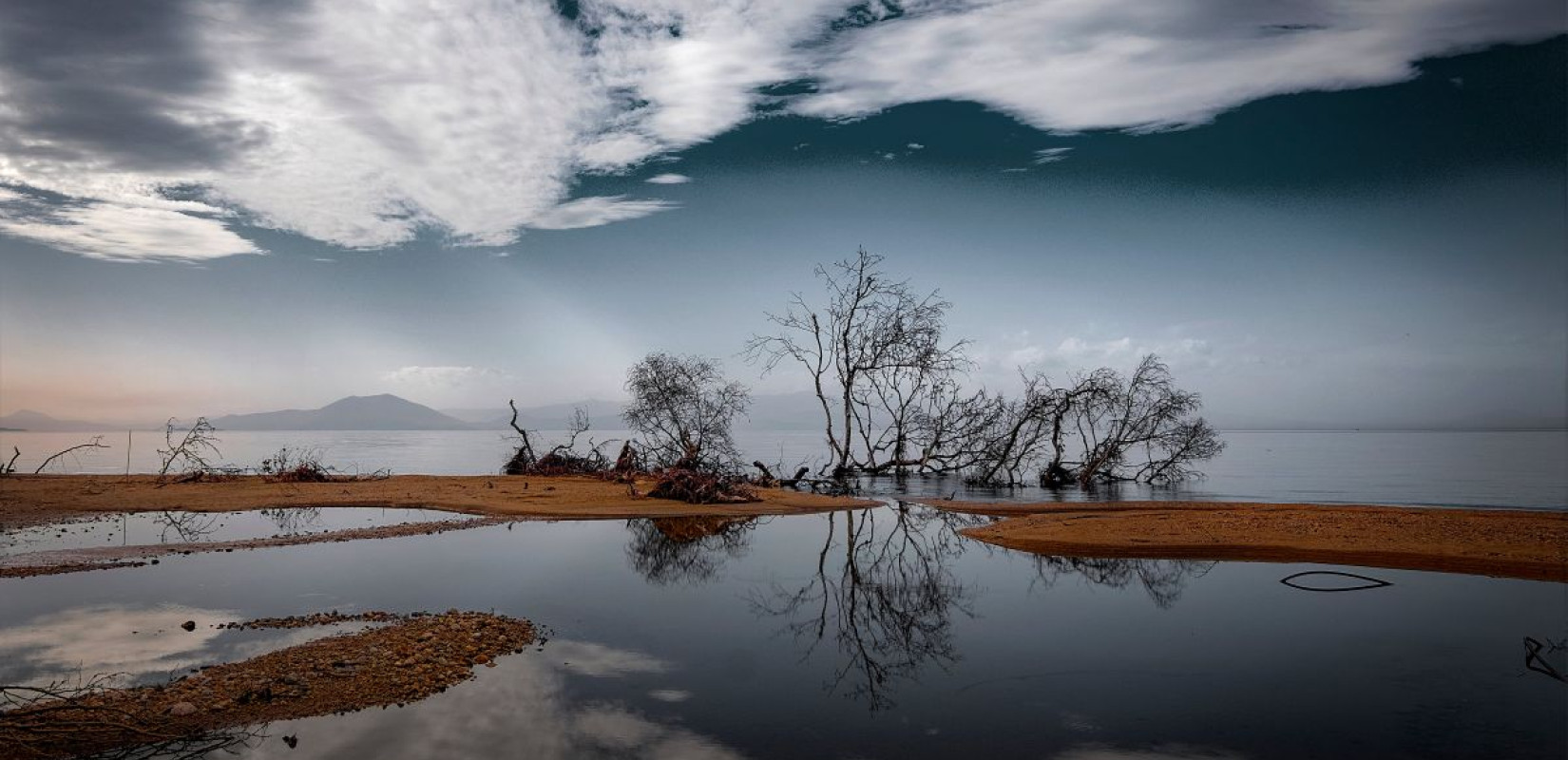 Φωτογραφία αρχείου από άλλη δράση της «Out of Focus»