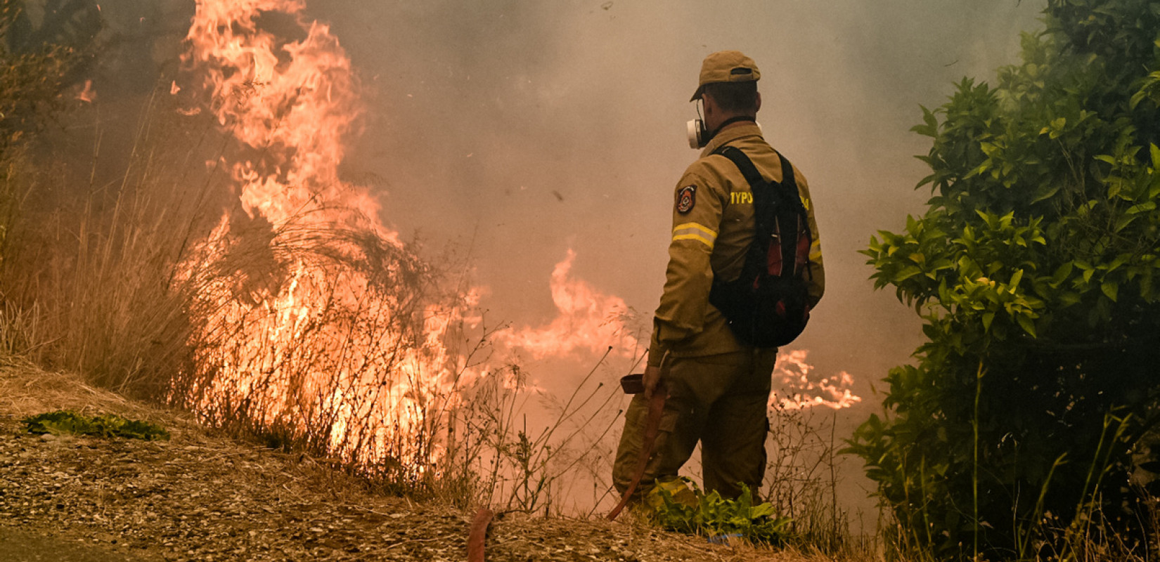 MedFireWise: Η φύση γίνεται σύμμαχος στην πρόληψη των δασικών πυρκαγιών