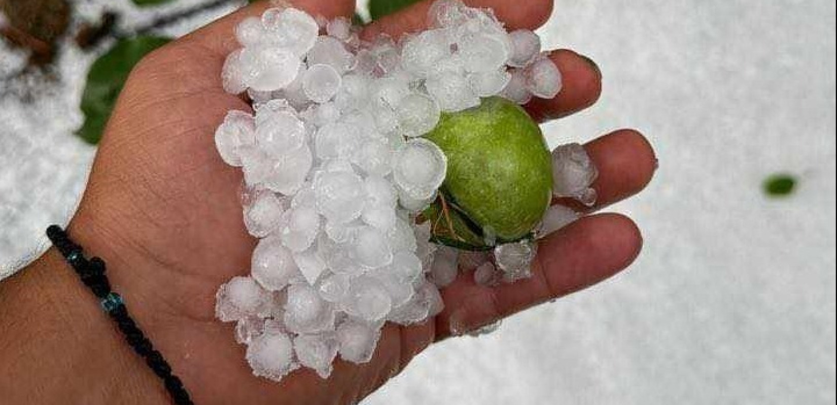 Χαλκιδική: Χαλάζι «σάρωσε» το Παλαιοχώρι και τη Μεγάλη Παναγιά (βίντεο)