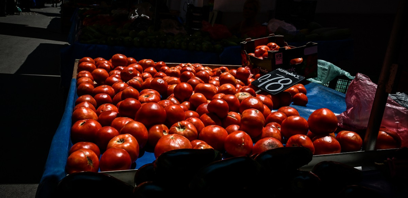 Σε απόγνωση οι καλλιεργητές ντομάτας: Στα ύψη το κόστος παραγωγής - Παράγουμε χωρίς να ξέρουμε αν θα το βγάλουμε (βίντεο)