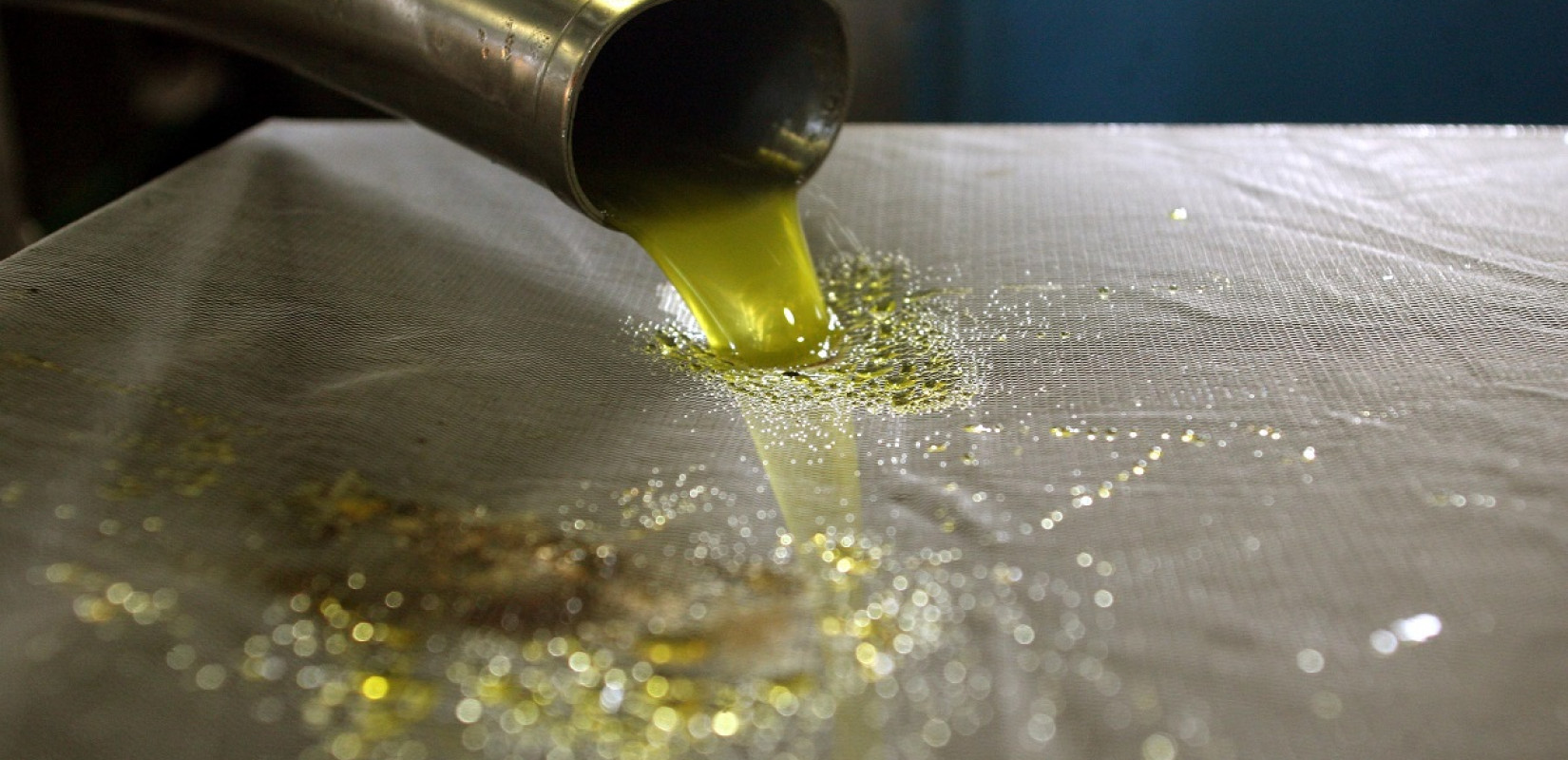 Ιδρύθηκε Σύνδεσμος Εμπορίου Ελληνικού Ελαιολάδου