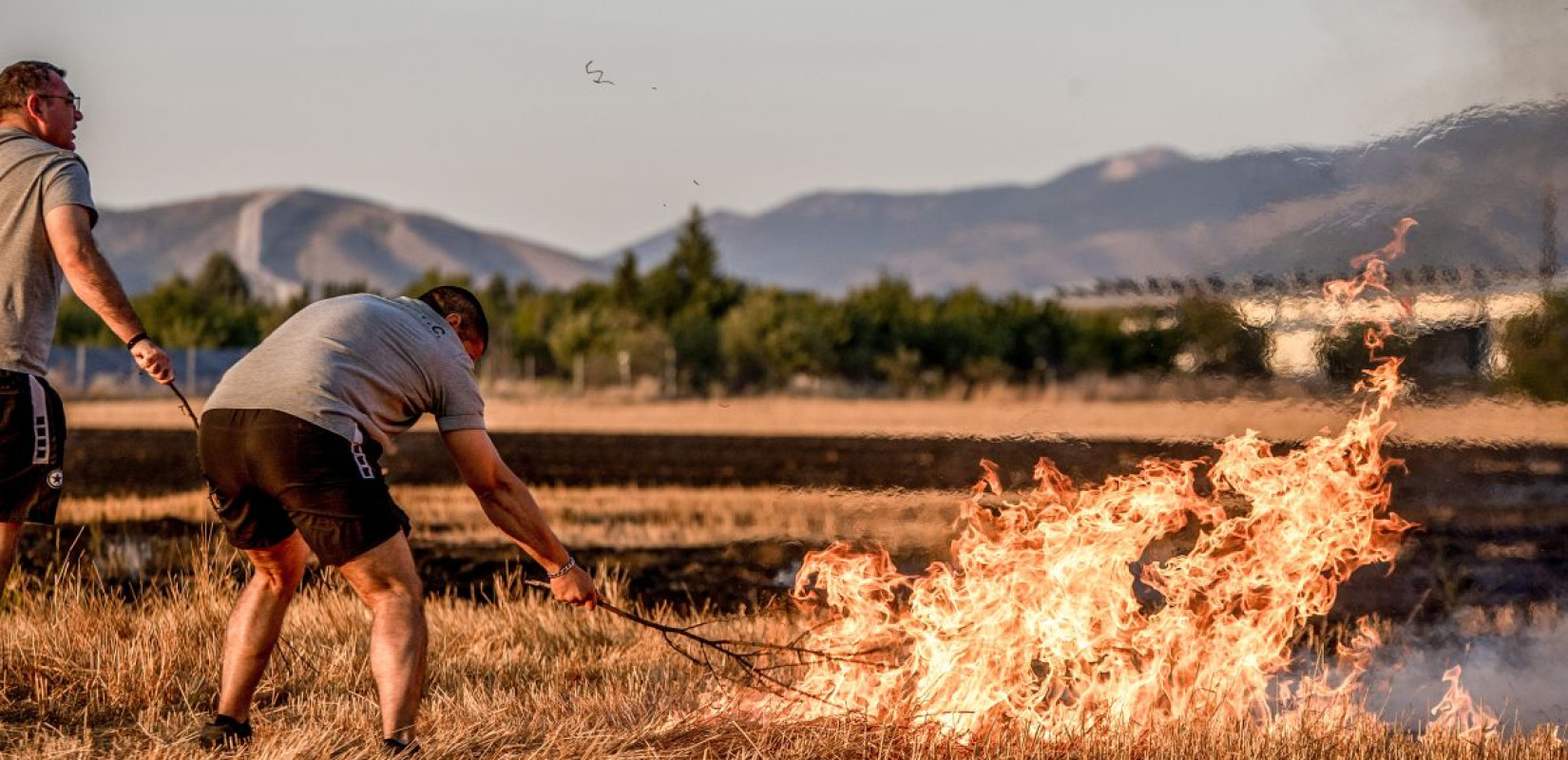 Σύλληψη 89χρονου για τη φωτιά στο Κρυονέρι: Έκαψε κλαδιά και του επιβλήθηκε βαρύ πρόστιμο