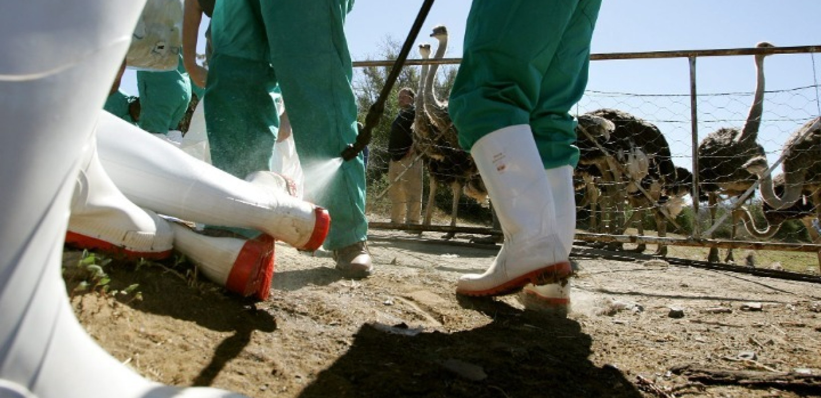 ΗΠΑ: Η κυβέρνηση Τραμπ επαναπροσλαμβάνει εργαζόμενους του υπουργείου Γεωργίας που απέλυσε λόγω γρίπης των πτηνών