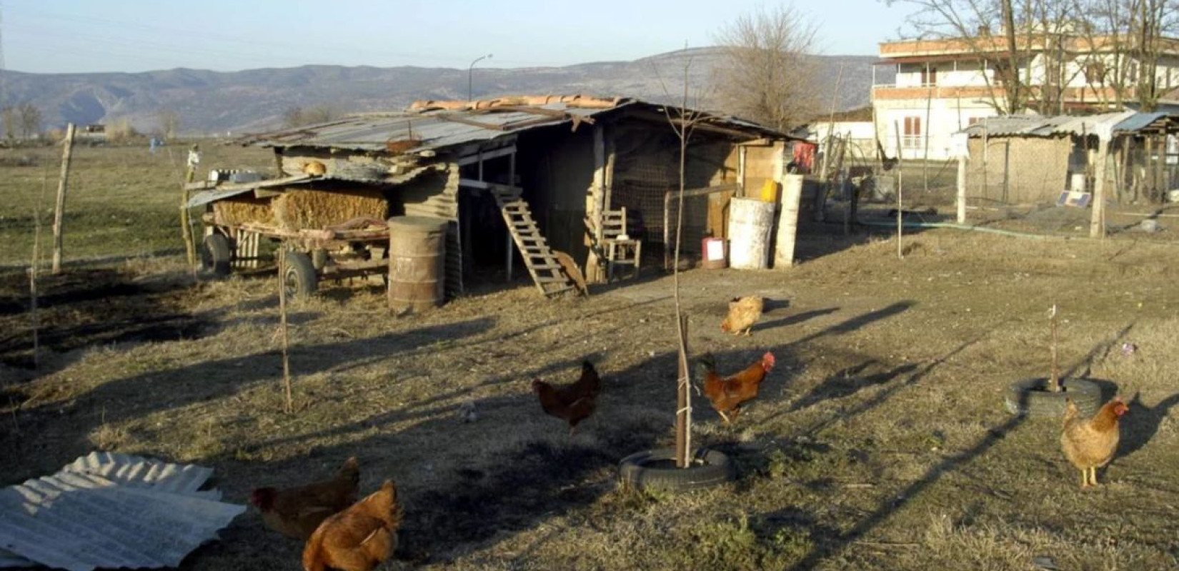 Βόλος: Συνταξιούχος ζει σε κοτέτσι για να μην έχει επαφή με τη γυναίκα και την κόρη του - Απείλησε να τις θάψει