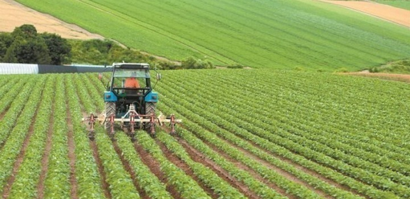 ΕΛΓΟ - Δήμητρα: Πολλαπλά τα οφέλη του «έξυπνου» ψεκασμού στον αγροτικό τομέα