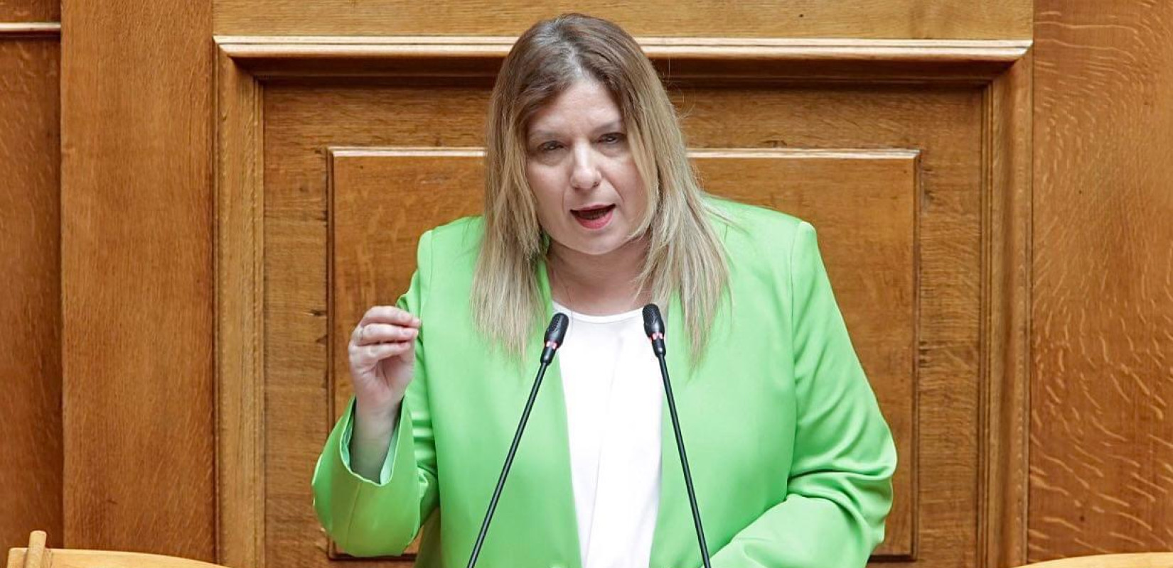 Αποστάσεις Συρεγγέλα από Γεωργιάδη για Τέμπη: Αναφαίρετο δικαίωμα των πολιτών τα συλλαλητήρια - Λάβαμε το μήνυμα