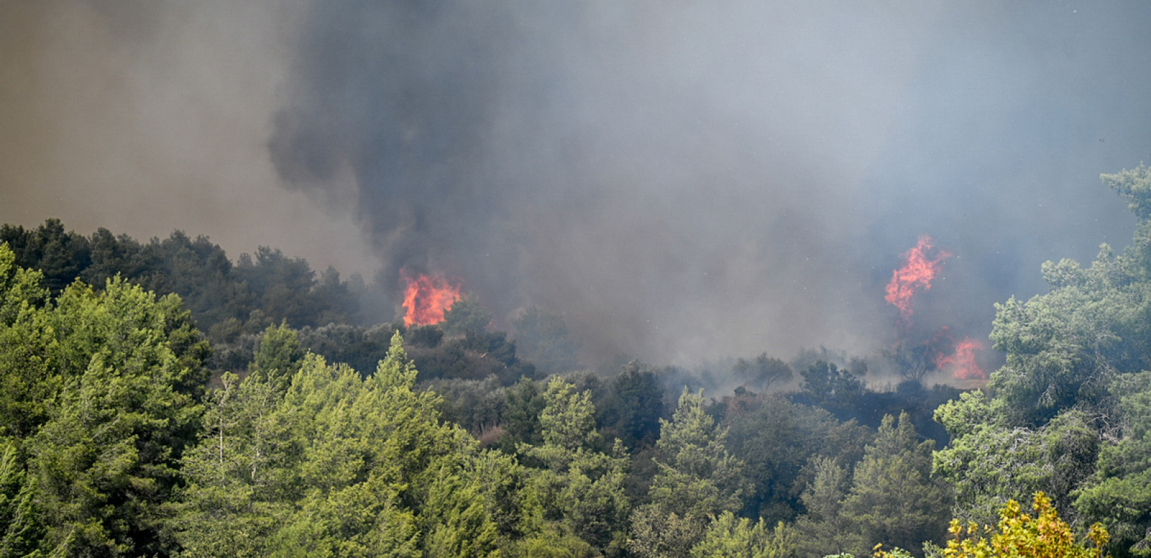 Μεσσηνία: Τρεις φορές ήχησε το μήνυμα του 112, εκκενώθηκαν οικισμοί
