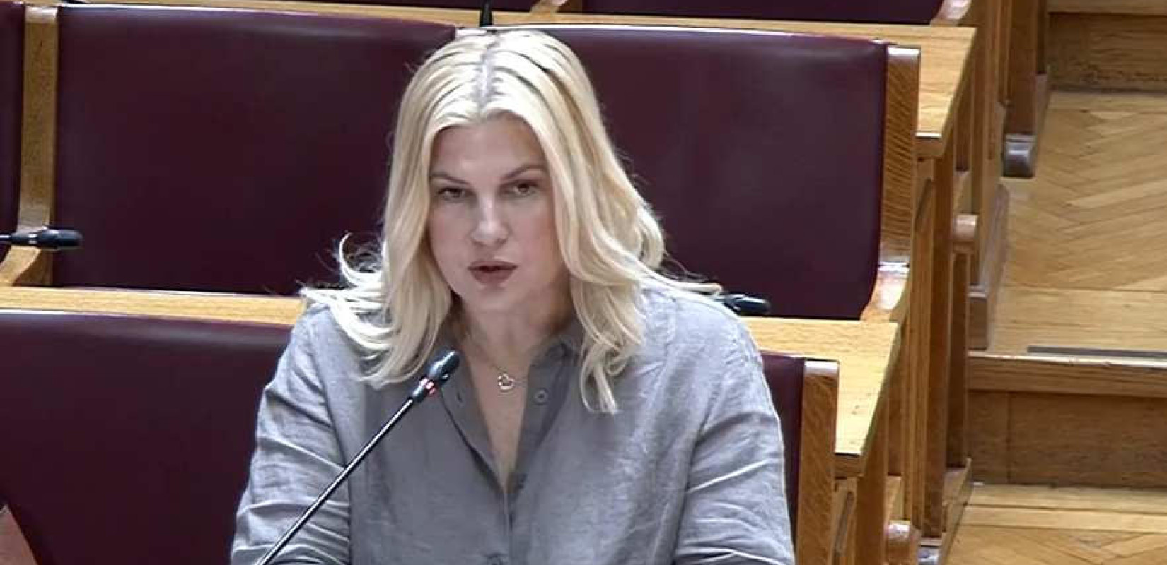 Ερώτηση Θρασκιά στη Βουλή για τις σοβαρές ελλείψεις στο 424 Γενικό Στρατιωτικό Νοσοκομείο