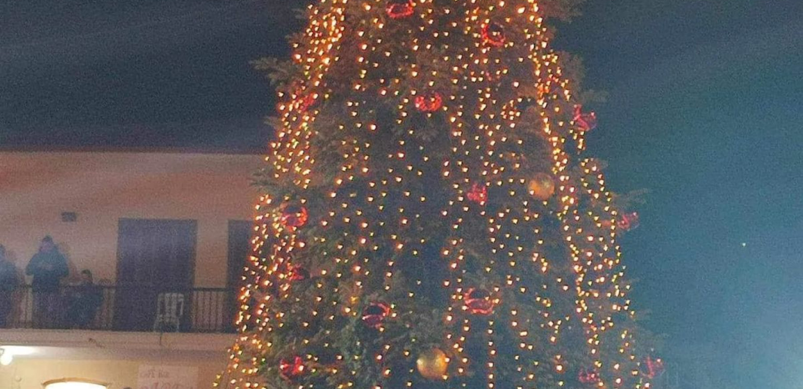 Δήμος Πολυγύρου: Άναμμα χριστουγεννιάτικων δέντρων 2024