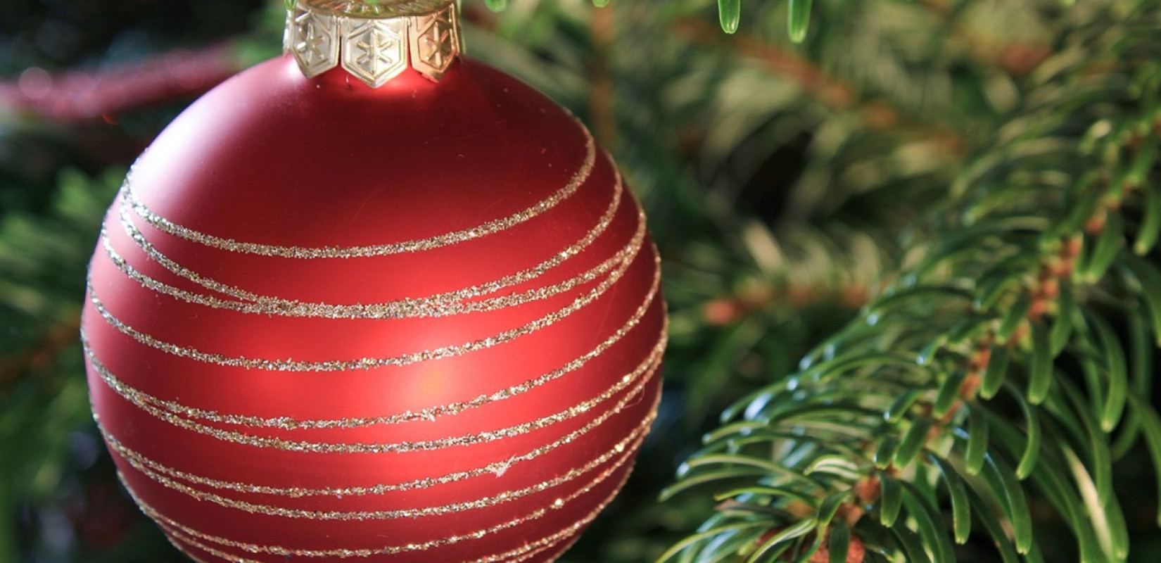 Με οκτώ φωταγωγήσεις χριστουγεννιάτικων δέντρων, τους Alcatrash και 11 συναυλίες υποδέχεται τα Χριστούγεννα ο Δήμος Παύλου Μελά