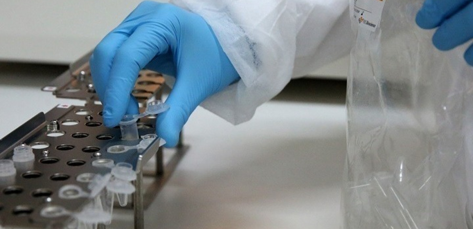 Κρούσματα της γρίπης των πτηνών σε τρεις φάρμες στη νότια Βουλγαρία