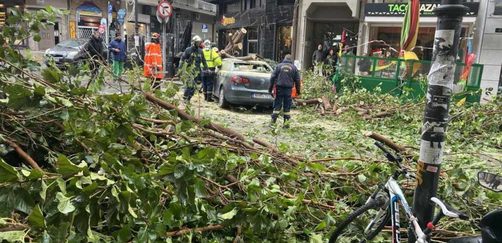 Θεσσαλονίκη: Απομακρύνονται πεσμένα δέντρα από 200 σημεία