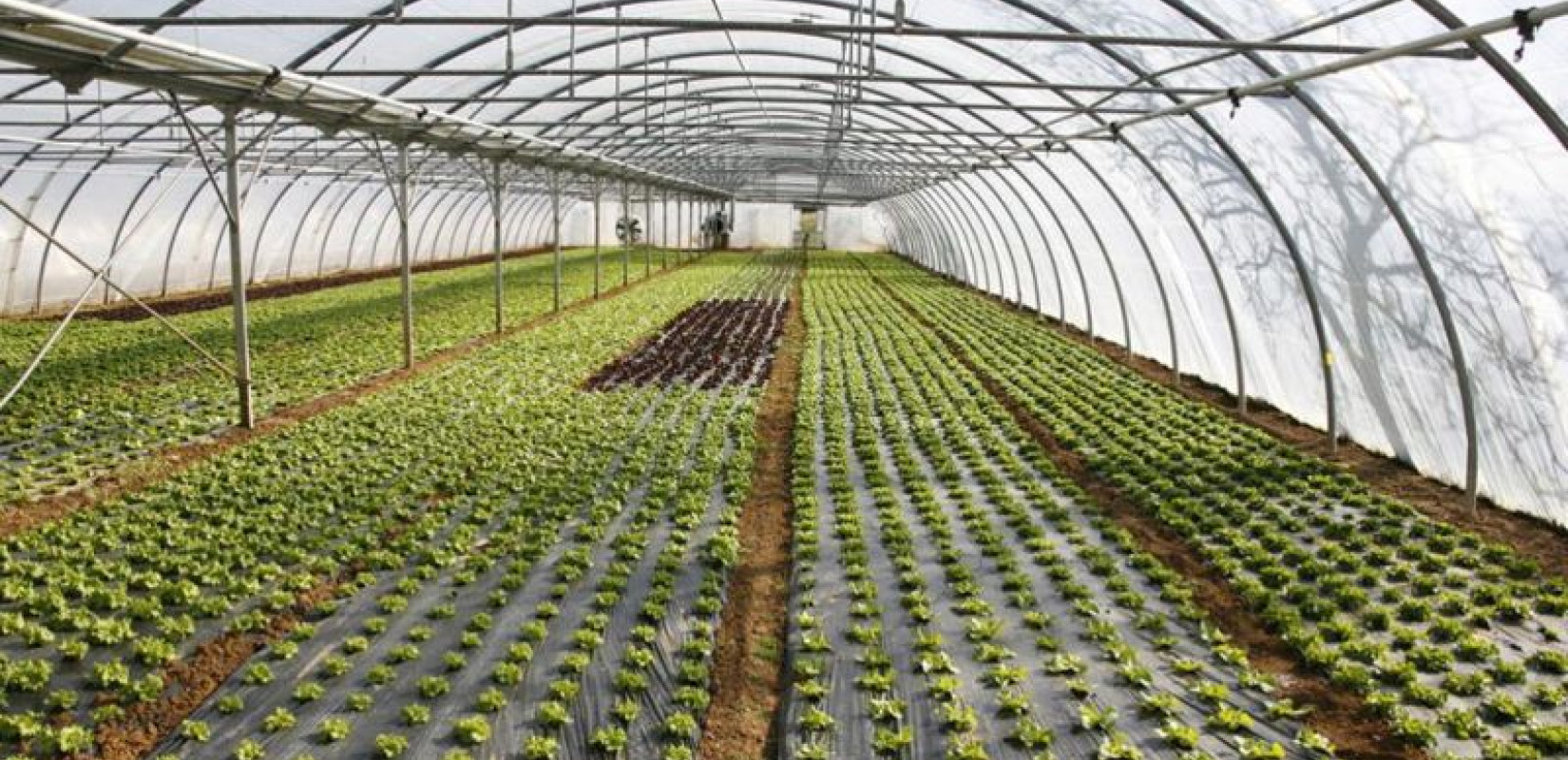 Αντίστροφη μέτρηση για το πρόγραμμα στις θερμοκηπιακές καλλιέργειες