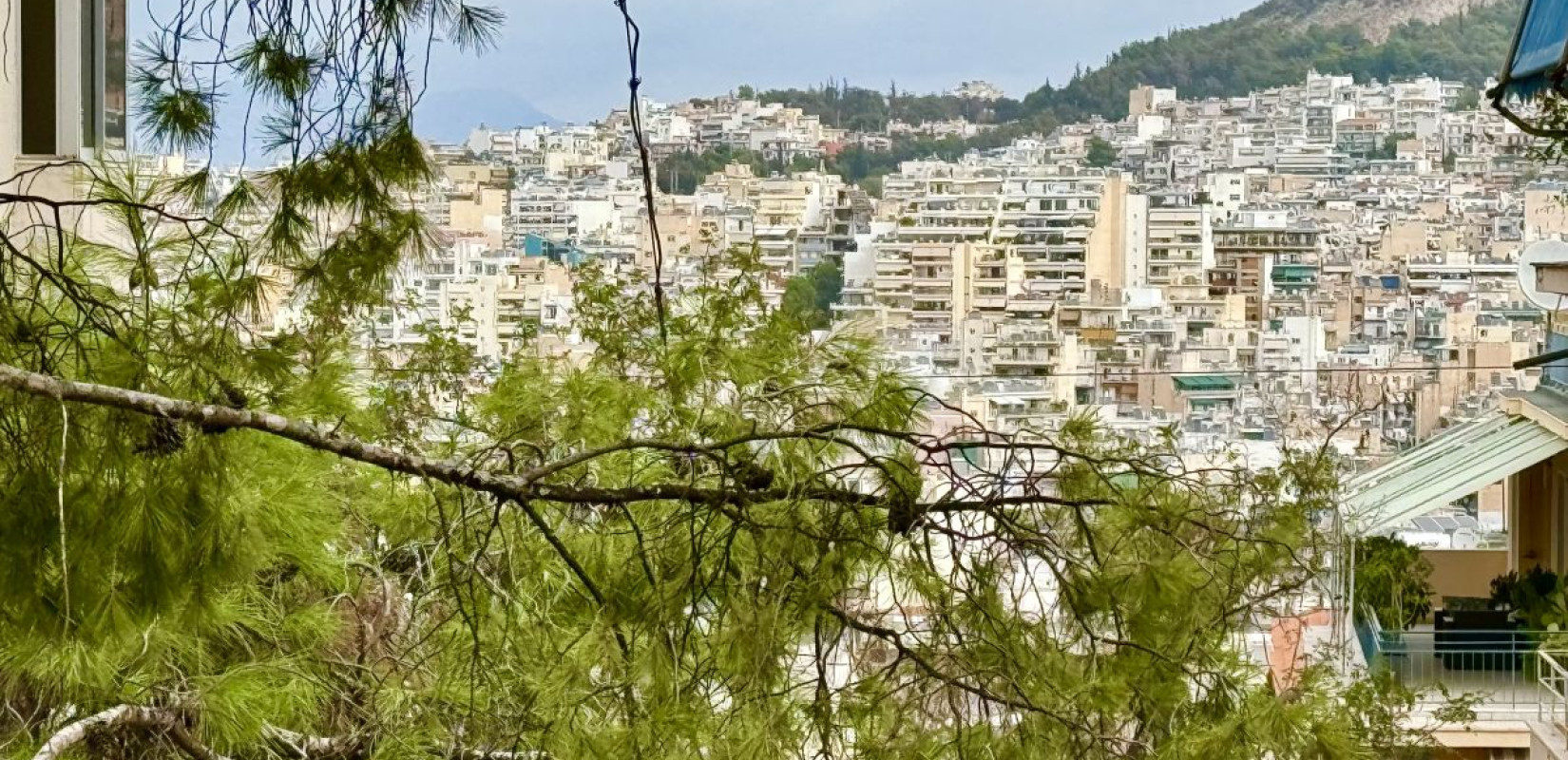 Σ. Ζαχαράκη: Από το Gov.gr θα εκδίδουν οι δικαιούχοι του προγράμματος «Σπίτι μου ΙΙ» τη βεβαίωση επιλεξιμότητας