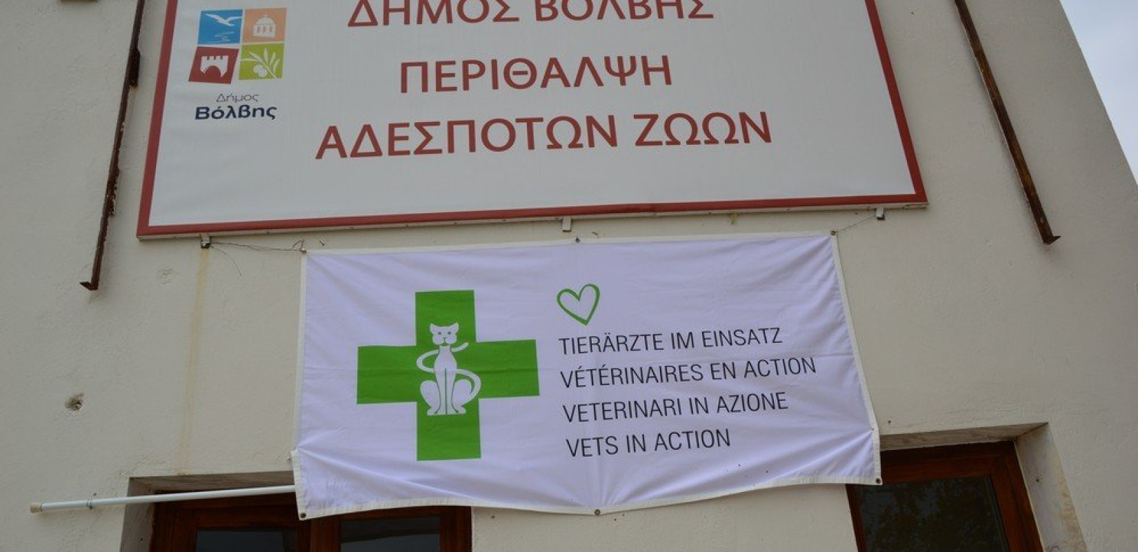 Πρωτοβουλία για τα αδέσποτα ζώα