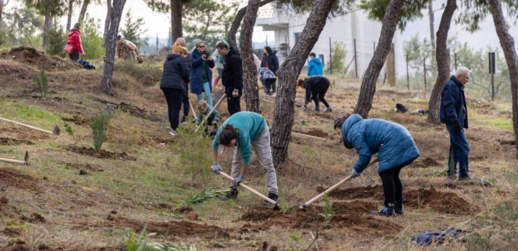 Θεσσαλονίκη: Ρεκόρ με 15 χιλιάδες δενδροφυτεύσεις μέσα στον αστικό ιστό της πόλης