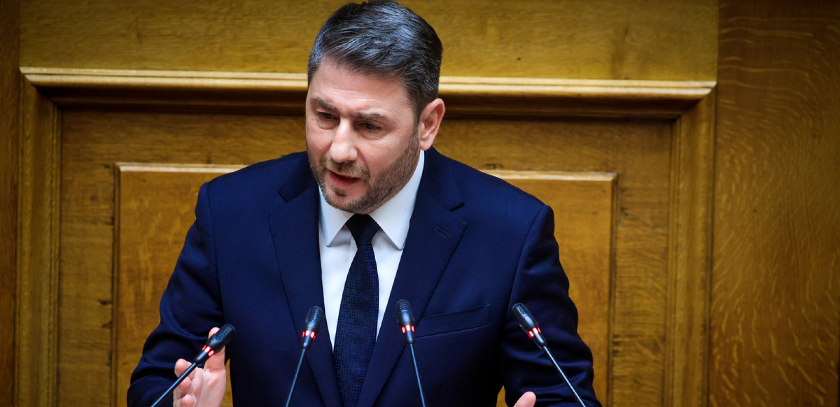 Ανδρουλάκης: Η Ελλάδα της ΝΔ είναι Ελλάδα των ισχυρών ολιγοπωλίων (βίντεο)