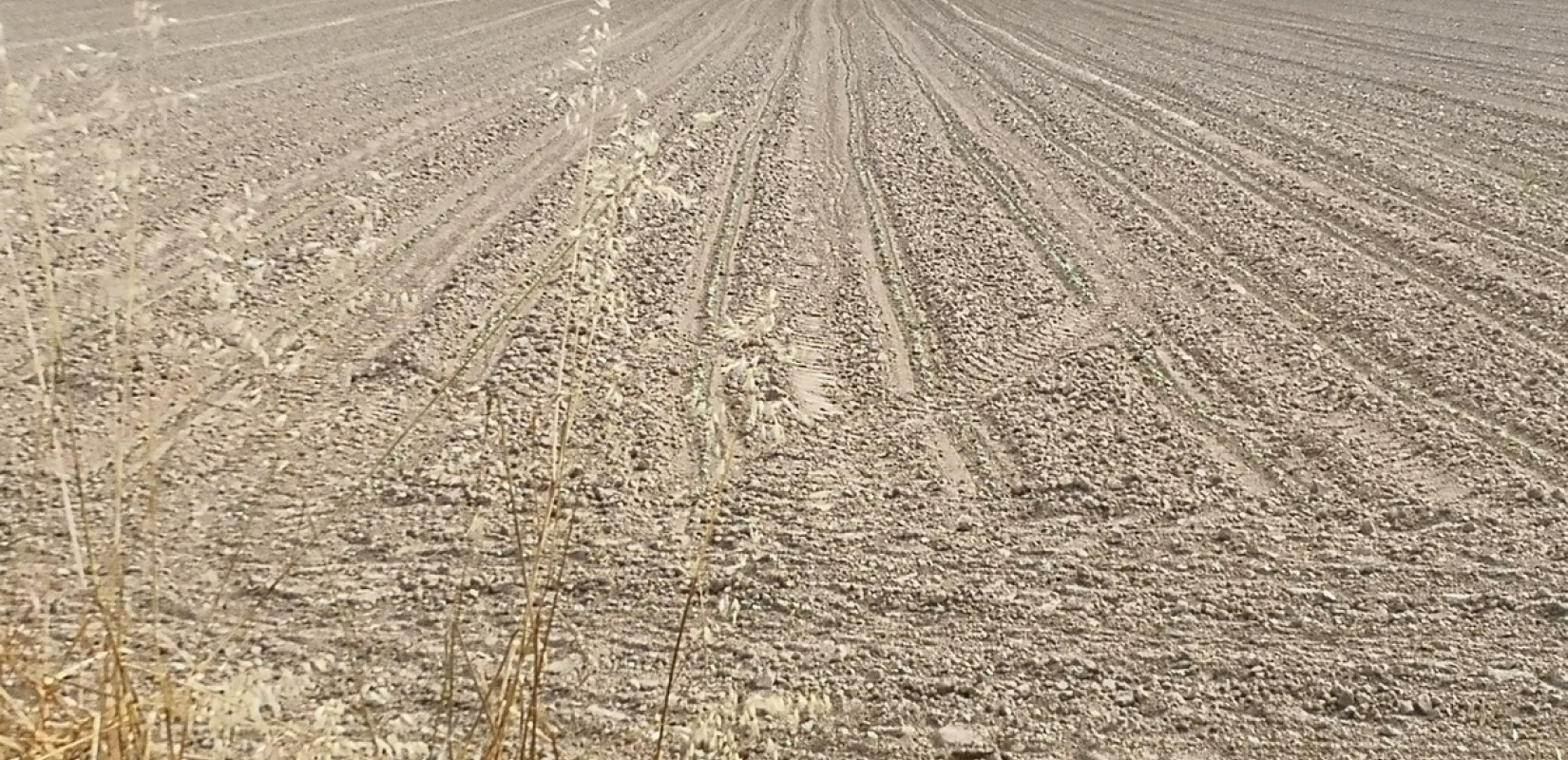 ΥΠΑΑΤ: Πώς μπορούν οι αγρότες να κάνουν διορθώσεις – ενστάσεις για τις επιδοτήσεις