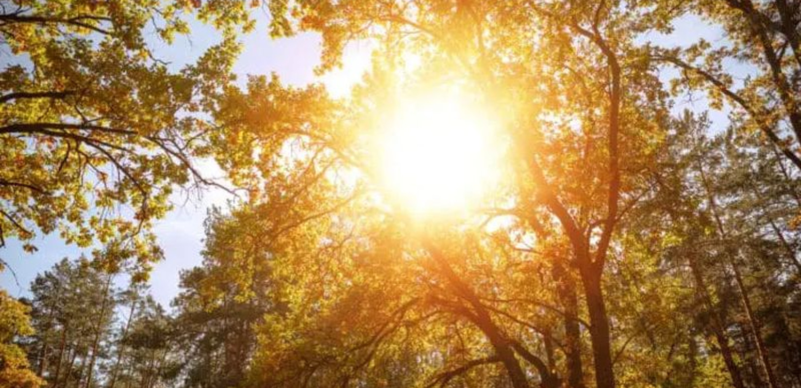 Θερμότερος του κανονικού θα είναι ο Σεπτέμβριος - Τα στοιχεία από 400 σενάρια πρόγνωσης (χάρτες)