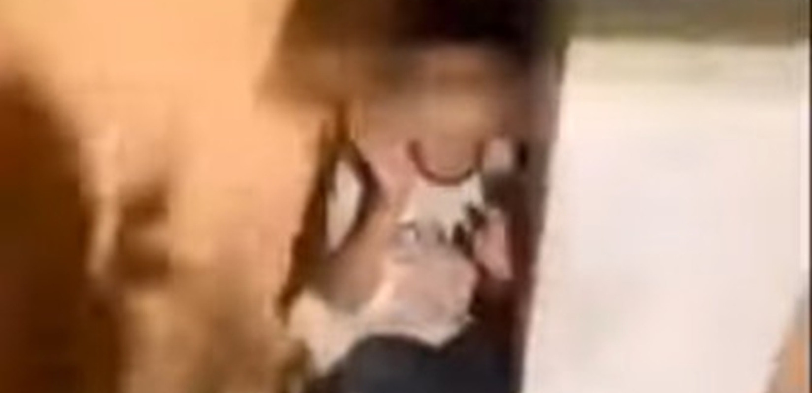 Κομοτηνή: Εισαγγελική έρευνα για τον εκφοβισμό παιδιού από ακροδεξιούς (βίντεο)