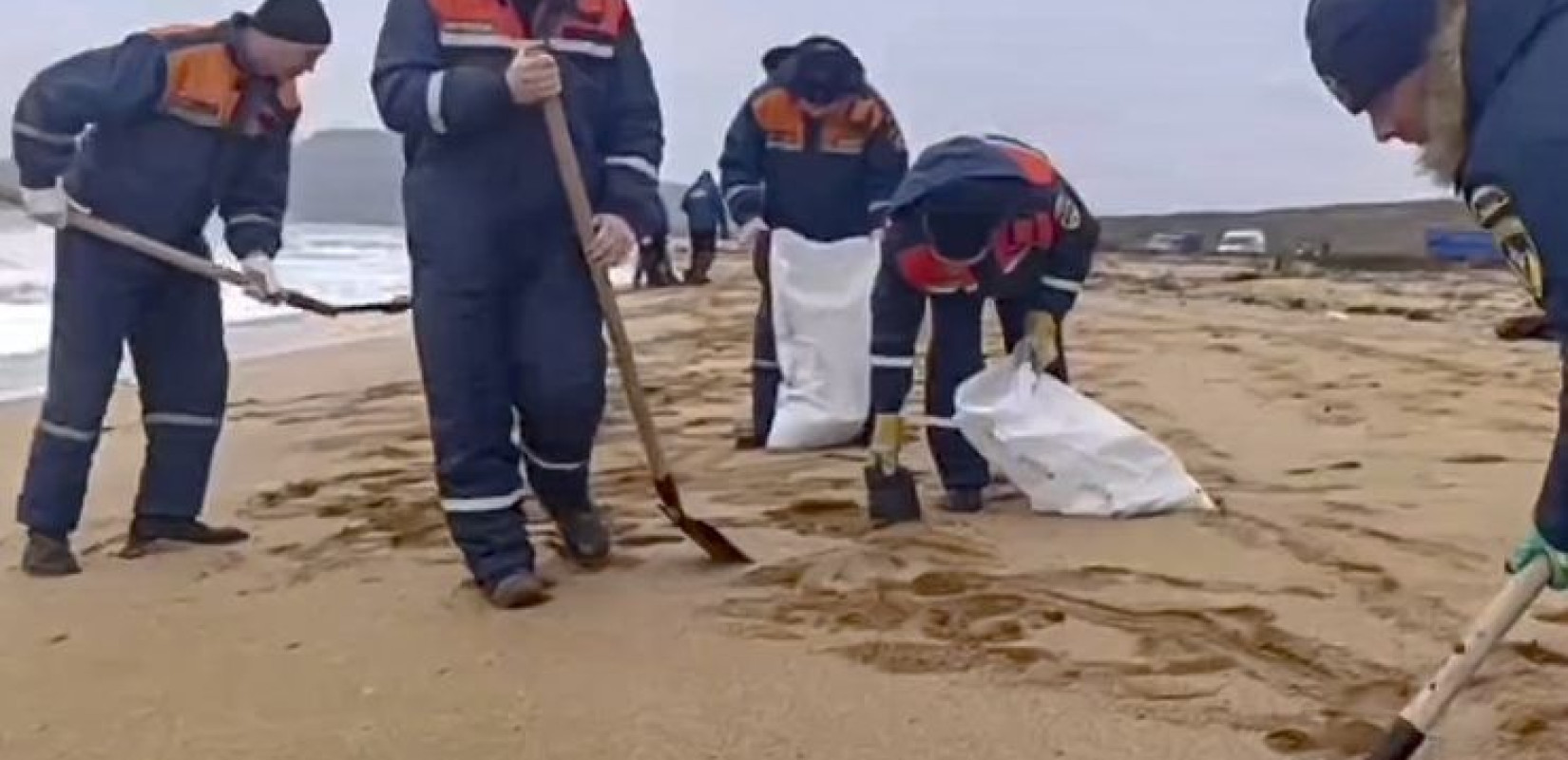 Ρωσία-πετρελαιοκηλίδα: Περισσότερα από 30 θαλάσσια κήτη βρέθηκαν νεκρά στη Μαύρη Θάλασσα