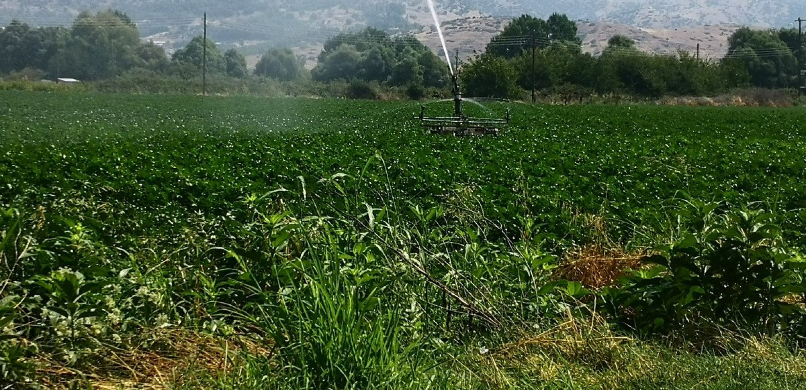 Σε ΦΕΚ οι ενισχύσεις ανά στρέμμα για παρεμβάσεις των Οικολογικών Σχημάτων