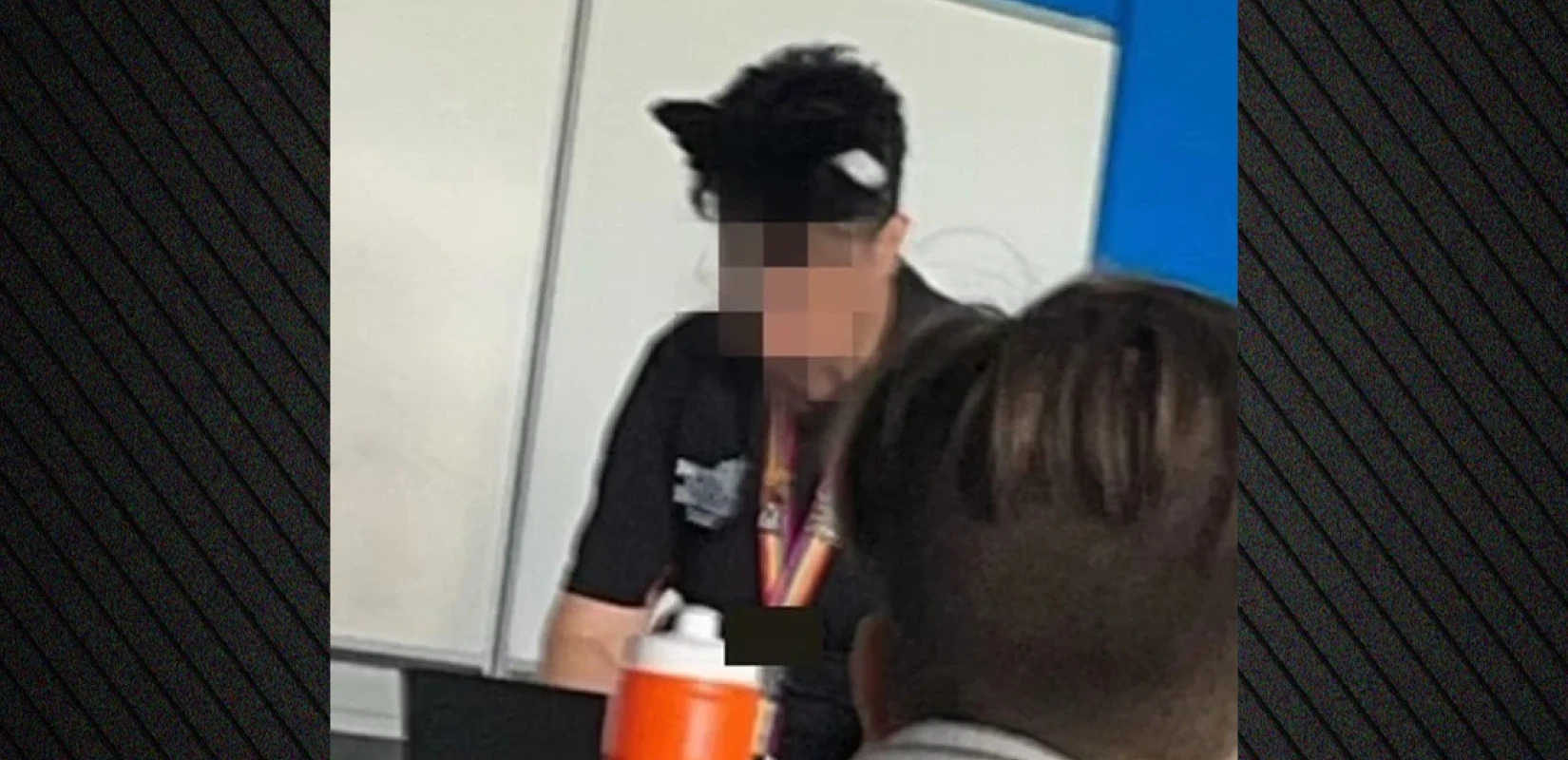 Αυστραλία: Καθηγήτρια αυτοπροσδιορίζεται ως γάτα και θέλει να τη φωνάζουν «Μις Γουργουρητό» (βίντεο)