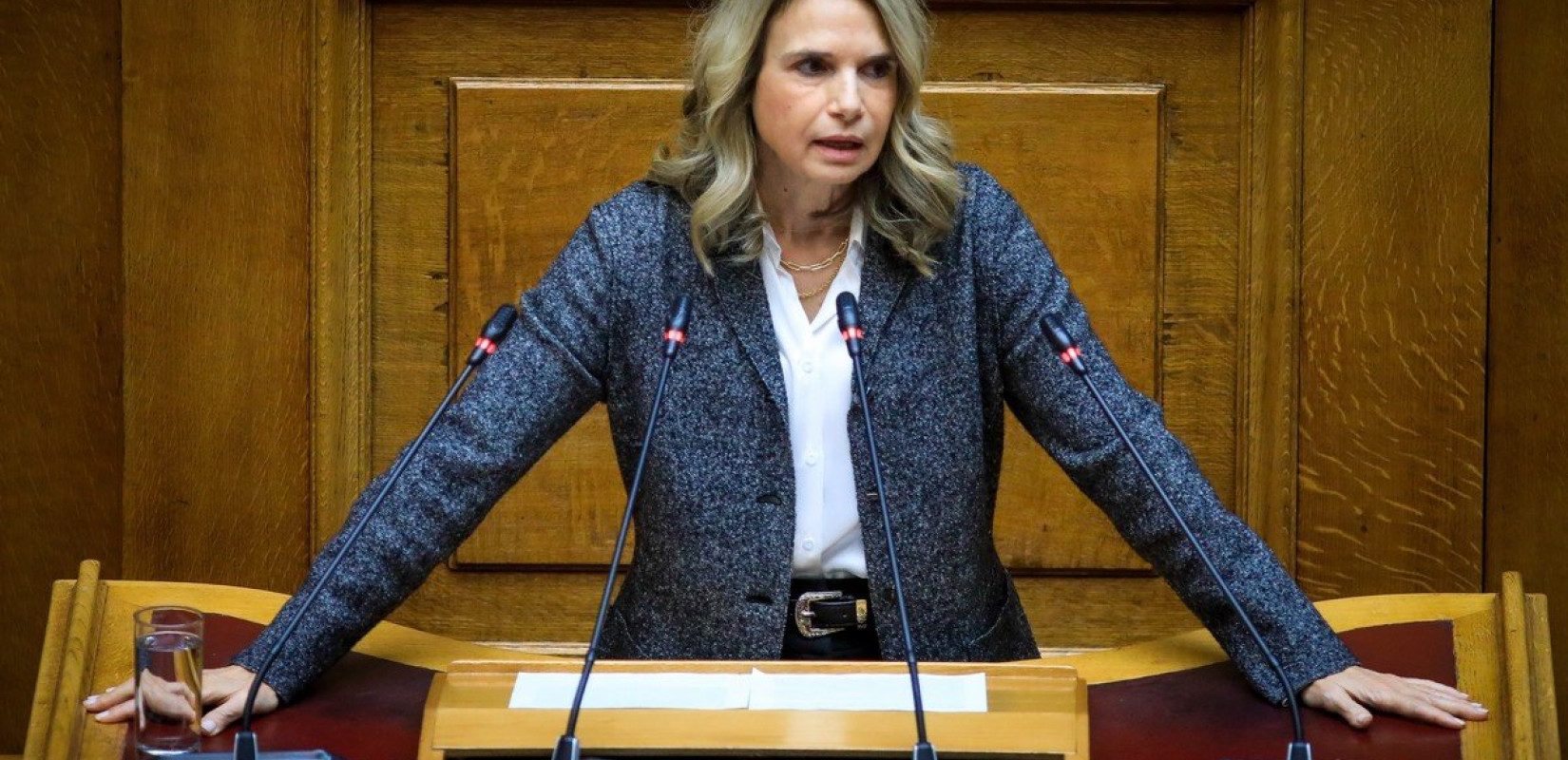 Βουλή - Μ. Αποστολάκη: Kανόνες στο τραπεζικό σύστημα - Επιστροφή κοινωνικού μερίσματος στους πολίτες