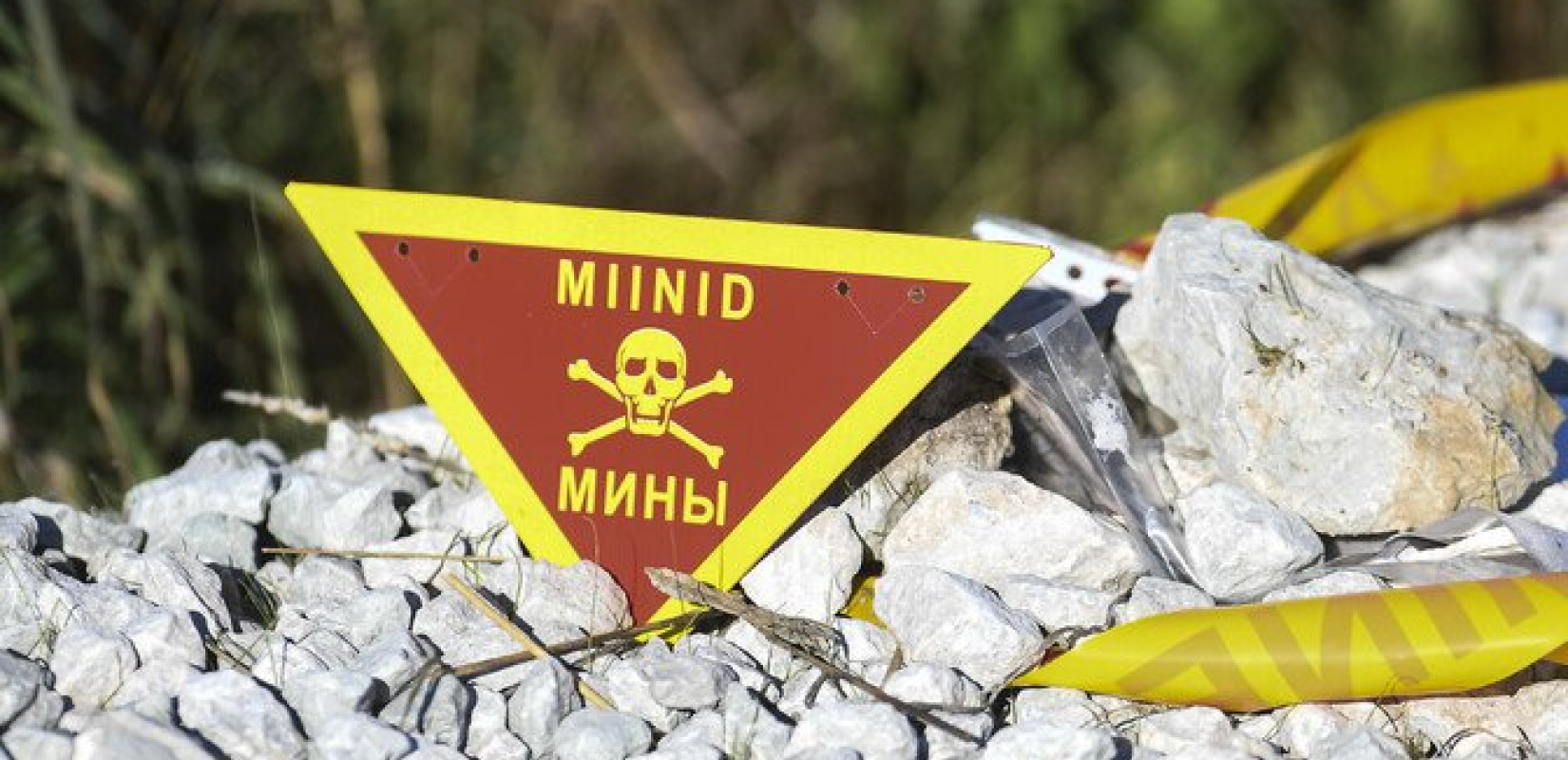 Γιατί οι χώρες της Βαλτικής πρόκειται να αποσυρθούν απ' τη διεθνή συνθήκη απαγόρευσης χρήσης ναρκών κατά προσωπικού