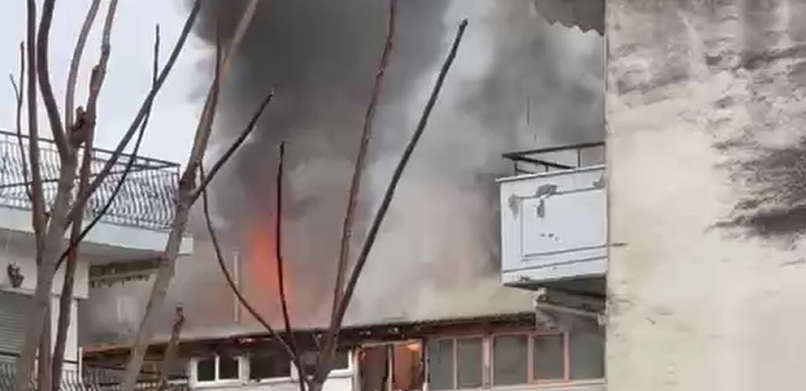 Χαλκιδική: Η φωτιά ακύρωσε την παρέλαση στην Καλλικράτεια (βίντεο)