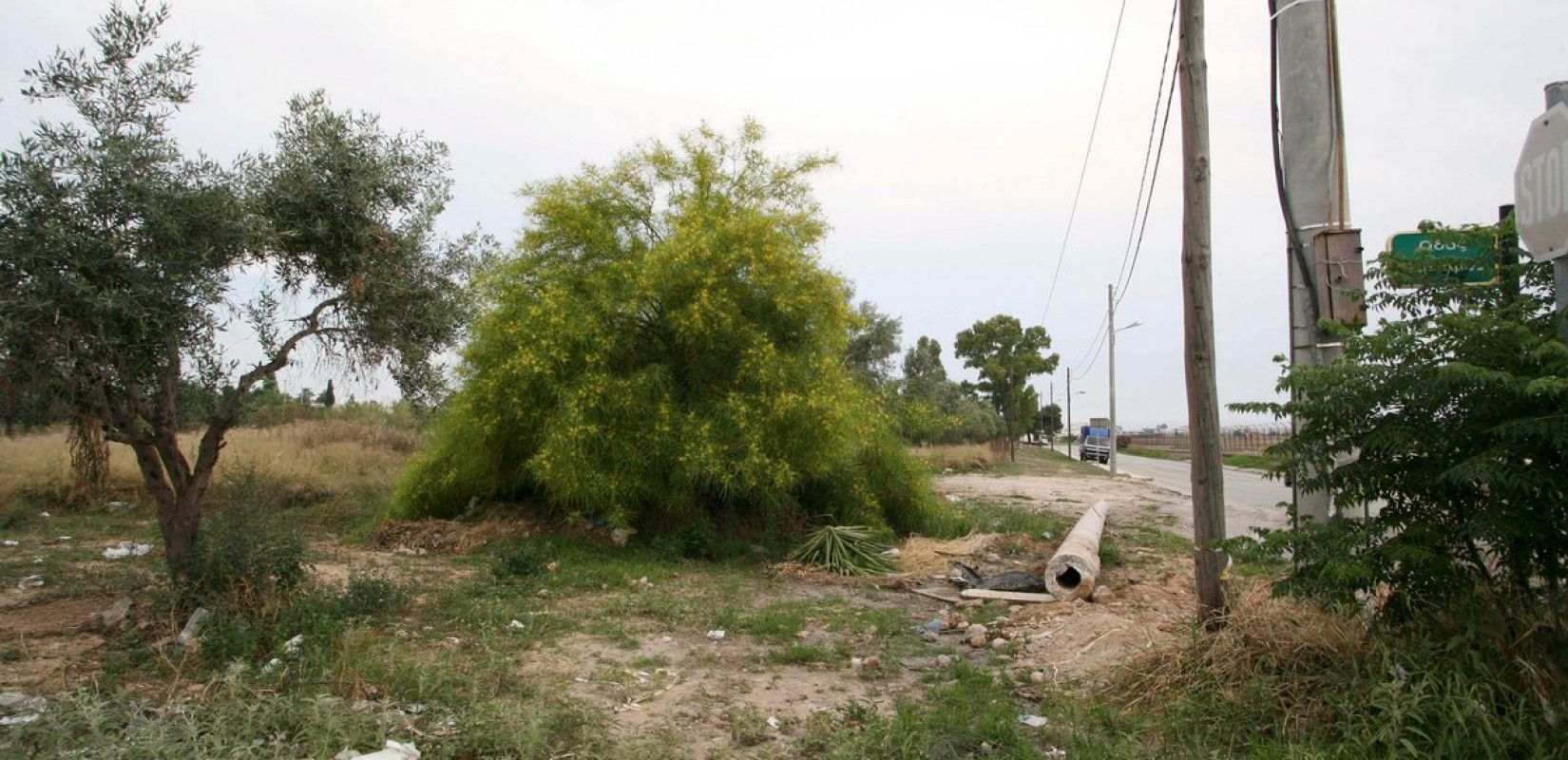 Ακαθάριστα οικόπεδα: «Σπριντ» από τους ιδιοκτήτες για να αποφύγουν τα τσουχτερά πρόστιμα
