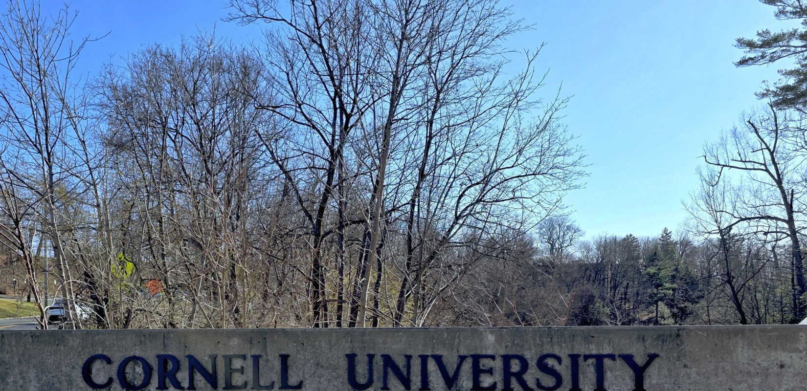 ΗΠΑ: Τα πανεπιστήμια Κορνέλ και Νορθγουέστερν τα επόμενα «θύματα» από τις περικοπές πόρων του Τραμπ