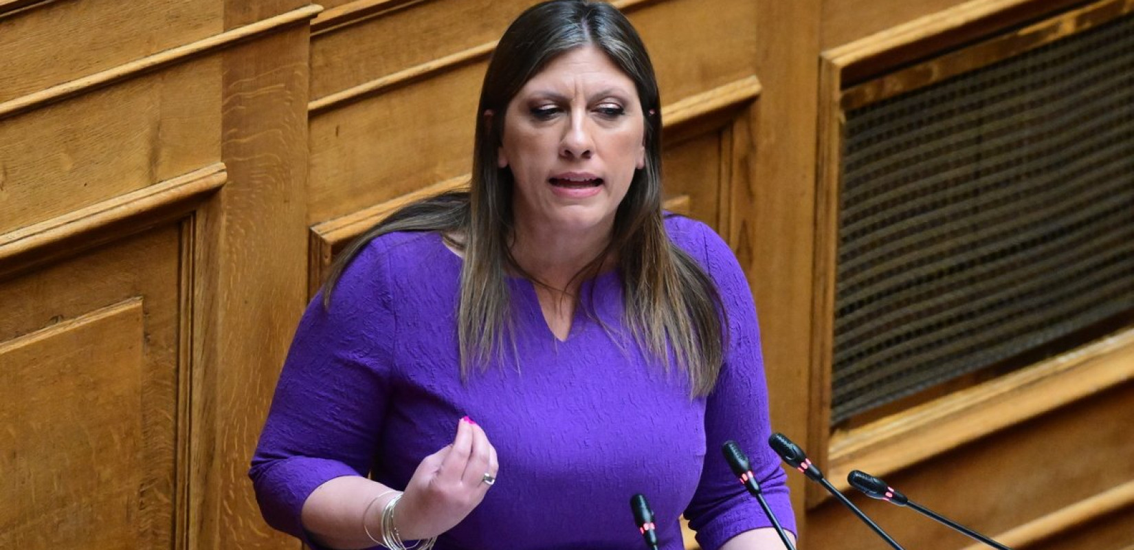 Ζ. Κωνσταντοπούλου: Στον Βόλο για την υπεράσπιση των κατοίκων των Σταγιατών στη δίκη με τον Αχ. Μπέο