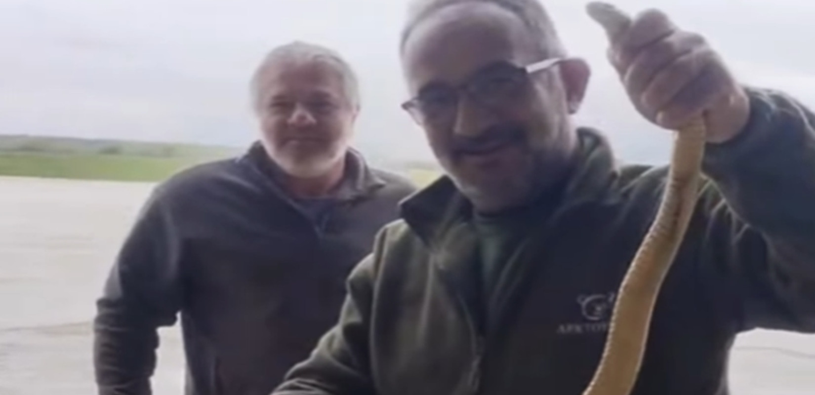 Καστοριά: Φίδι «ξετρύπωσε» από... λεκάνη τουαλέτας (βίντεο)