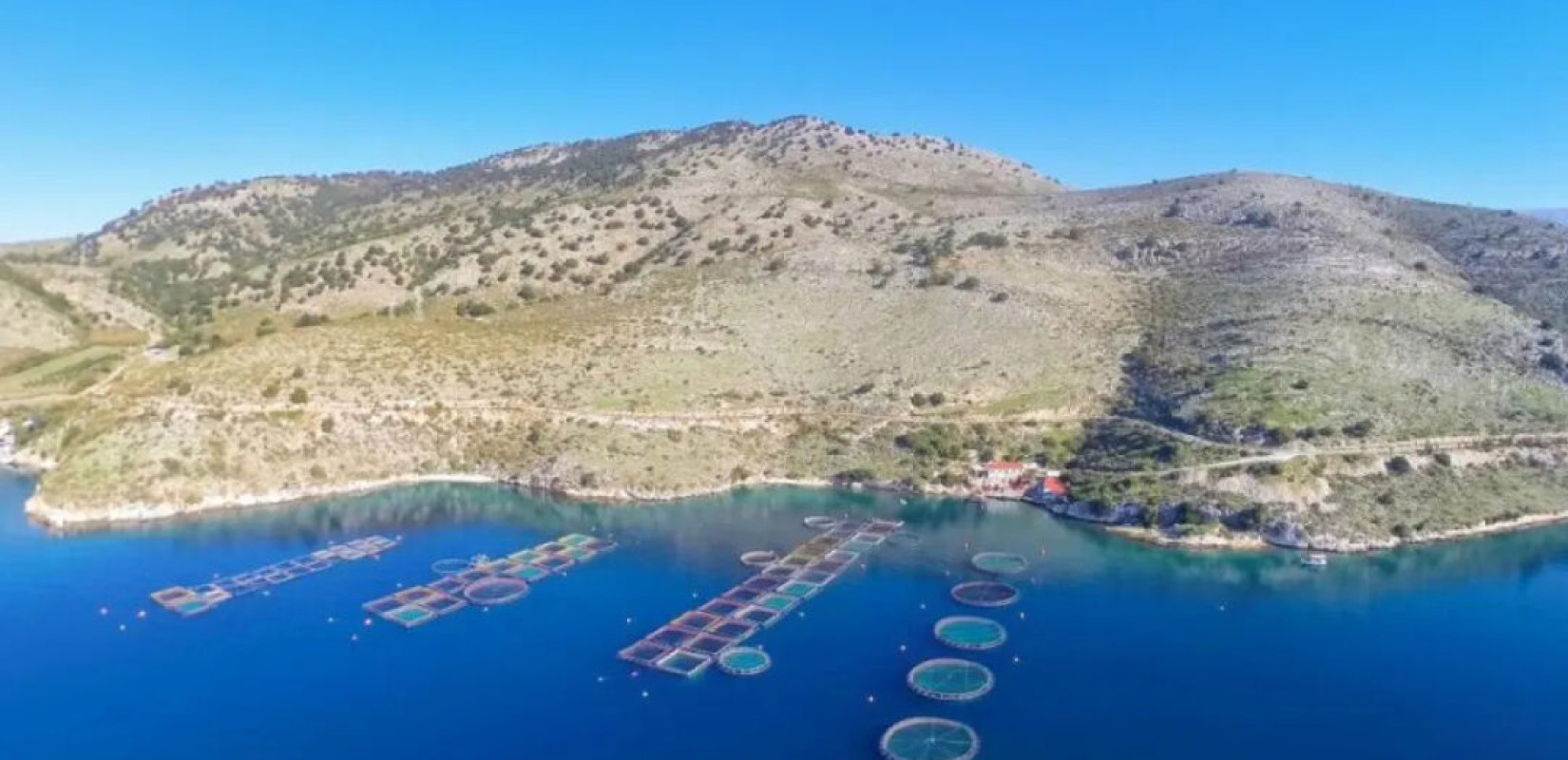 Καβάλα: Επιστημονική ημερίδα για την Υδατοκαλλιέργεια