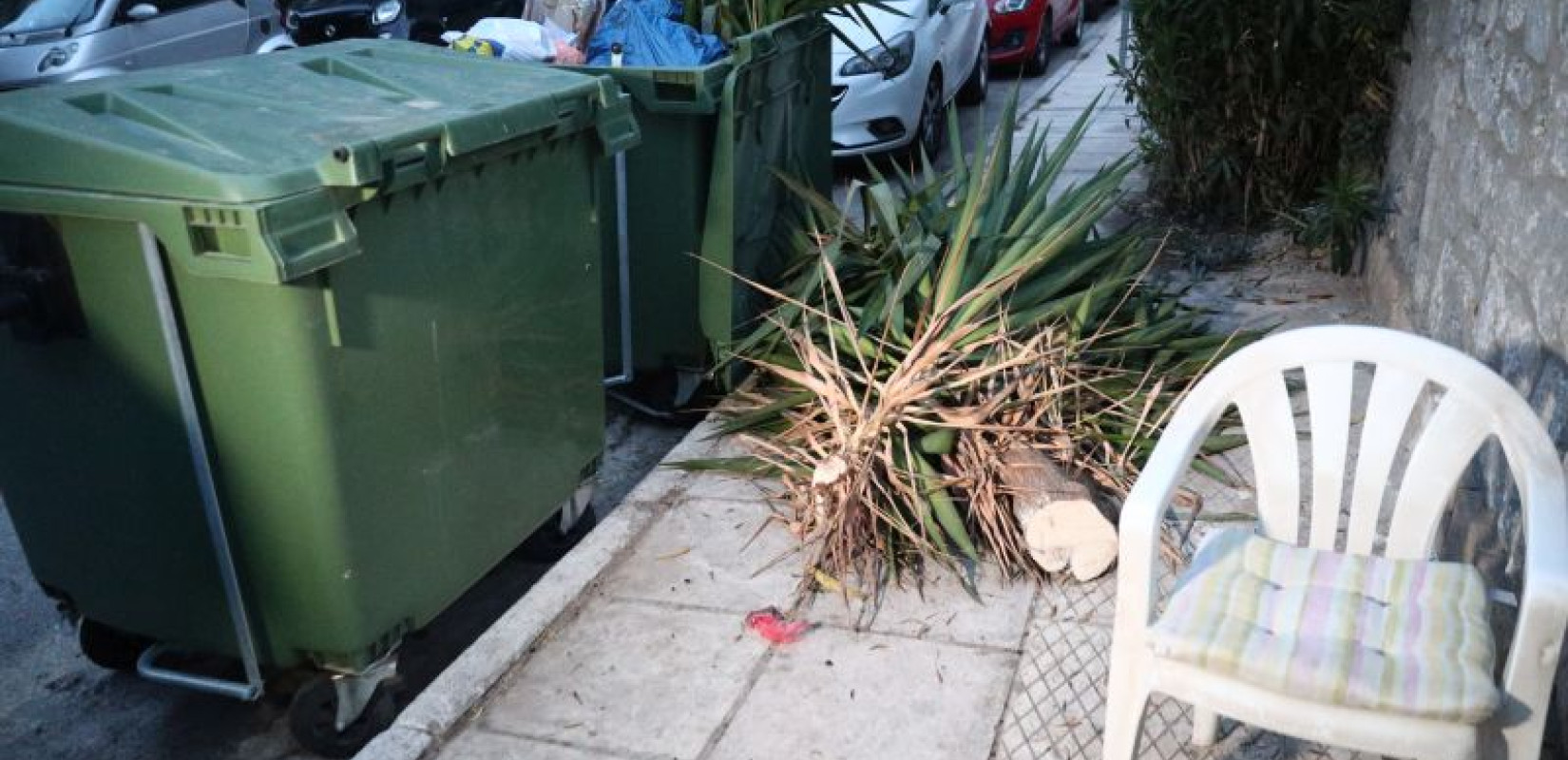 Θρίλερ με βρέφος σε κάδο απορριμμάτων στον Άλιμο: Τι εξετάζει η ΕΛ.ΑΣ. (βίντεο)