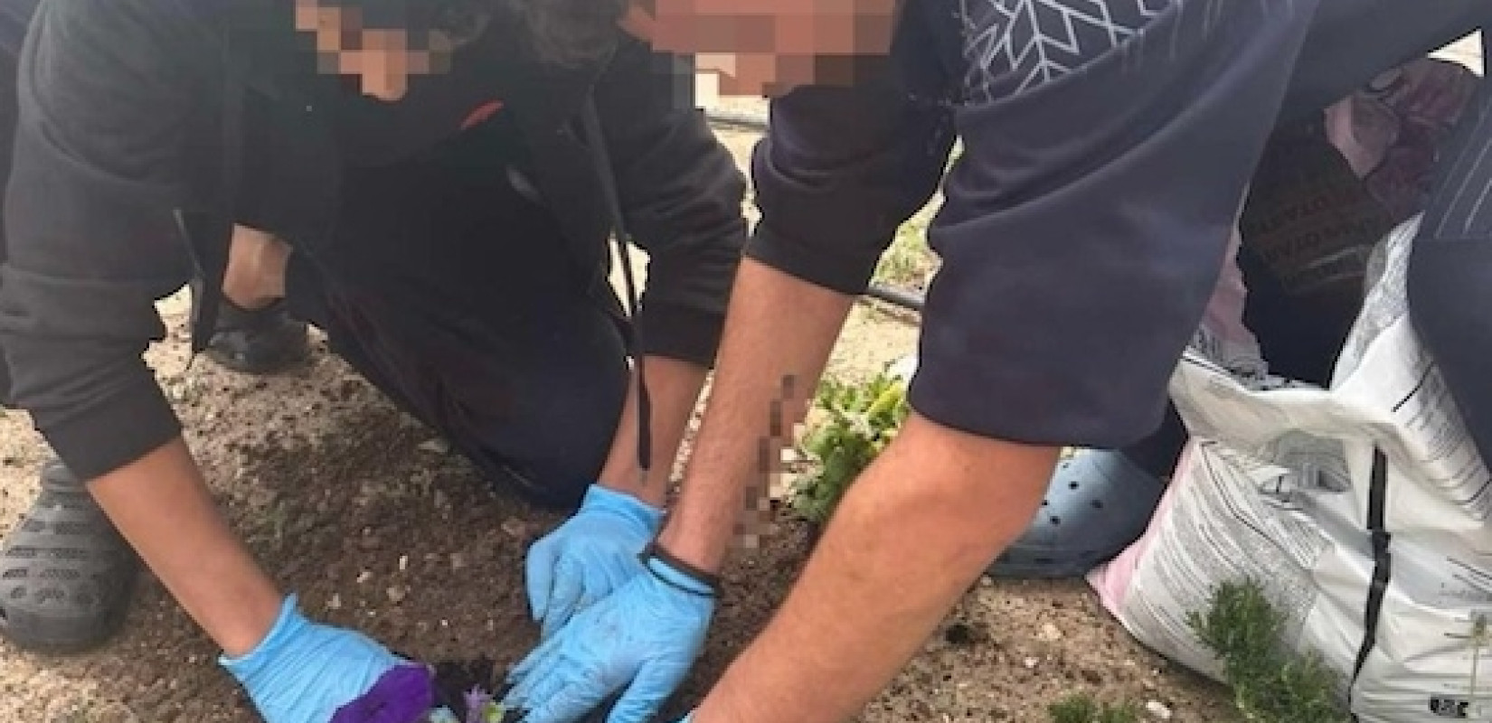 Έβρος: Τα ασυνόδευτα παιδιά του ΚΥΤ Φυλακίου δημιούργησαν τον "Κήπο της Ελπίδας"