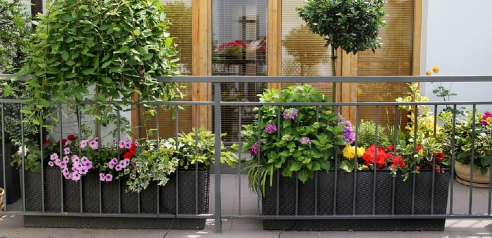 Λήγει η παράταση για συμμετοχή στον 19ο Διαγωνισμό για «Το Ομορφότερο Πράσινο Μπαλκόνι, Ταράτσα, Κήπος» του δήμου Νεάπολης-Συκεών