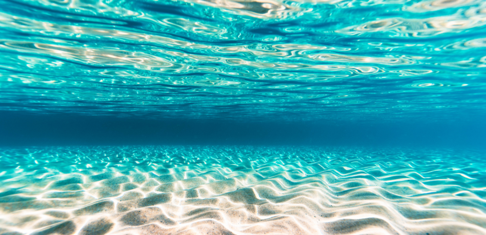 Θαλάσσια πάρκα σε Αιγαίο και Ιόνιο: Από τις μεγαλύτερες προστατευόμενες περιοχές στη Μεσόγειο (βίντεο)