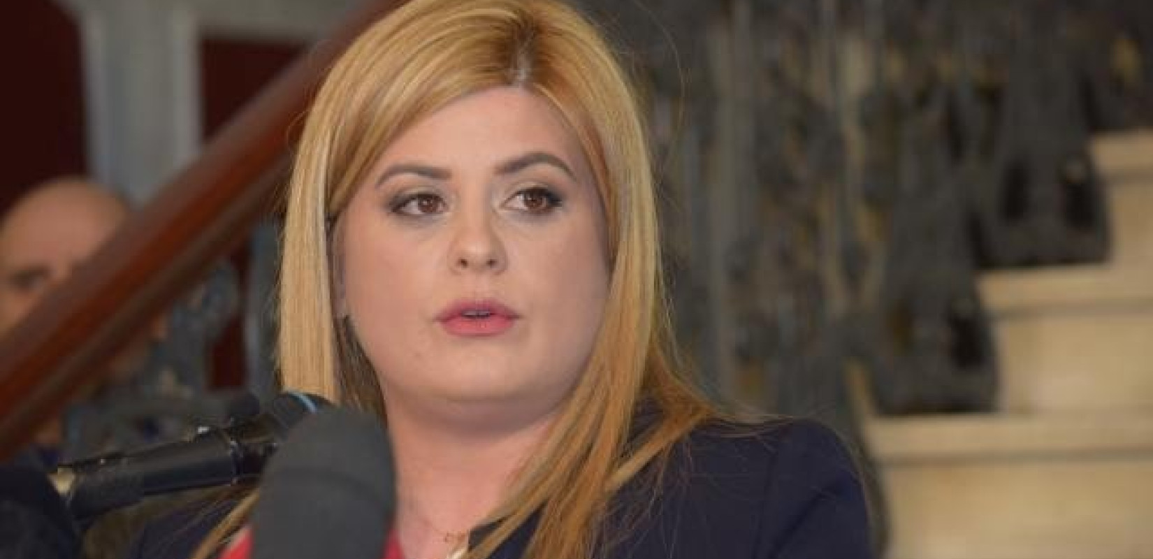 Ελ. Χατζηγεωργίου: Κομματικό το «όχι» στην αποστολή Τσίπρα στα Σκόπια