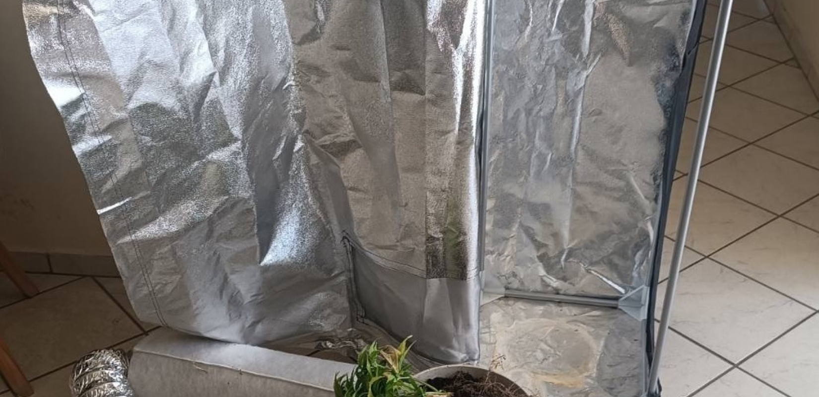 Χαλκιδική: Δύο συλλήψεις για κάνναβη και ναρκωτικά