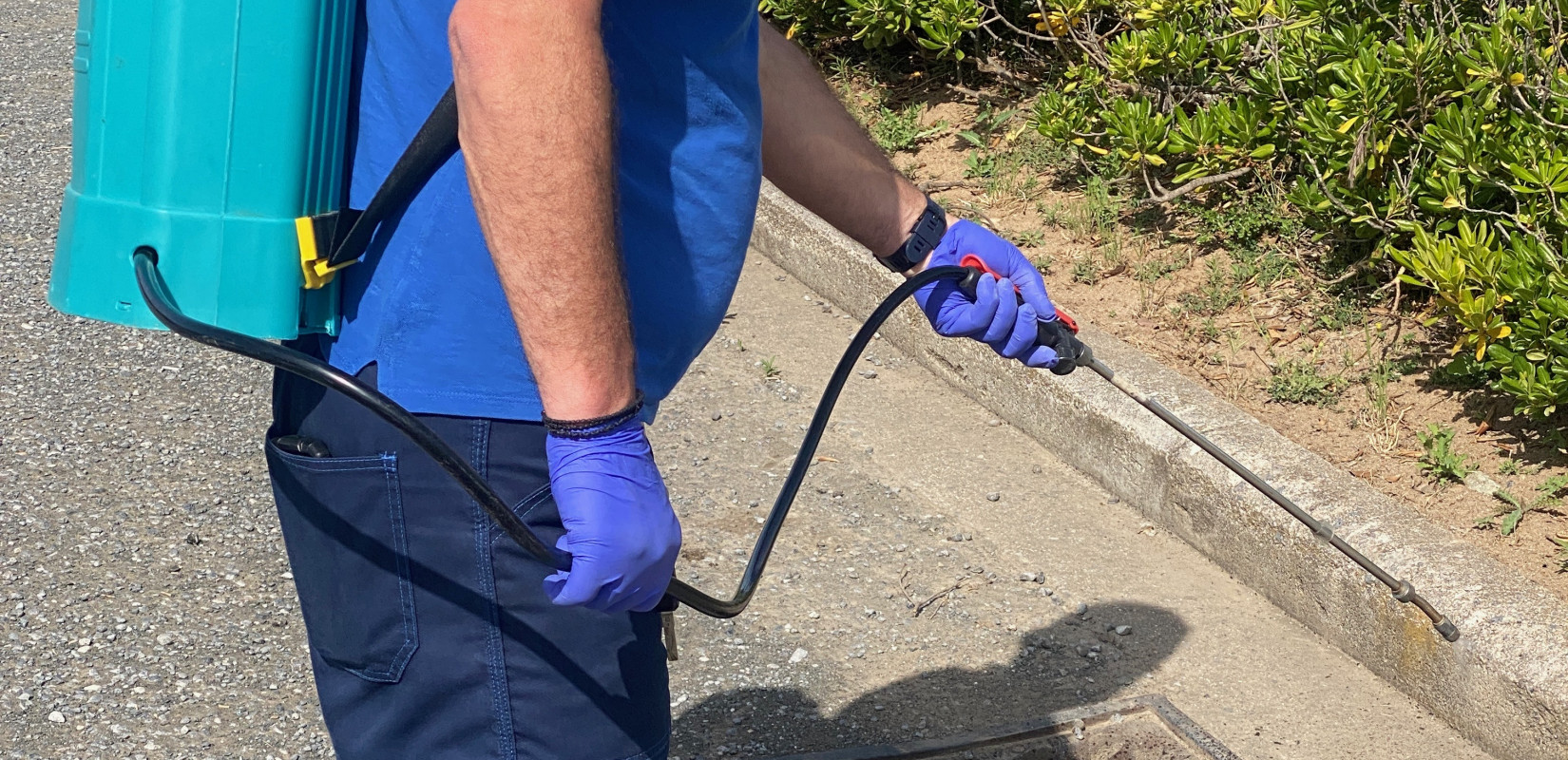 Δήμος Πυλαίας - Χορτιάτη: Προληπτικές δράσεις κατά των κουνουπιών