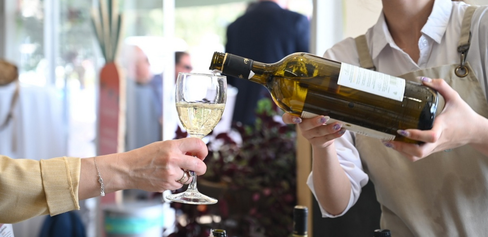 Οι πολλαπλές διαστάσεις του ελληνικού διατροφικού πολιτισμού στο «Plato’s Plate»