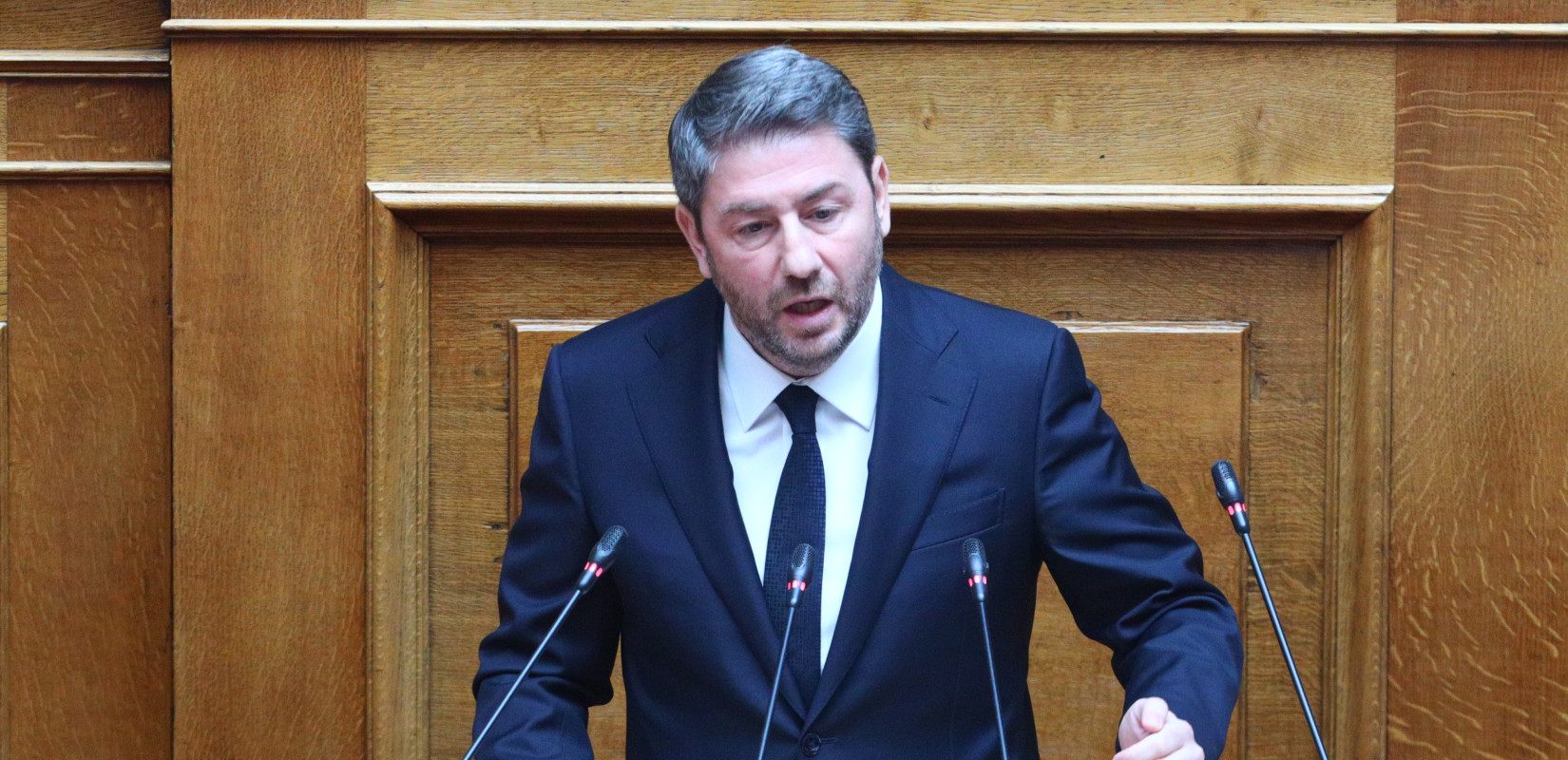 Προανακριτική για Τέμπη - Νίκος Ανδρουλάκης: «Ο κ. Μητσοτάκης προσπάθησε από θύτης να γίνει θύμα»