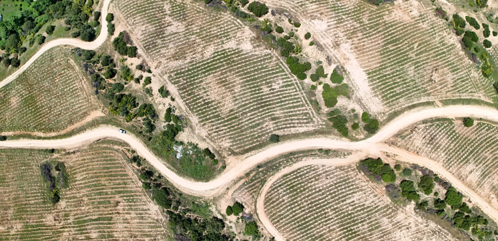 Ένα δάσος με 100.000 δέντρα και χώρος αναψυχής στην Ευκαρπία, με δωρεά του Στ. Ανδρεάδη