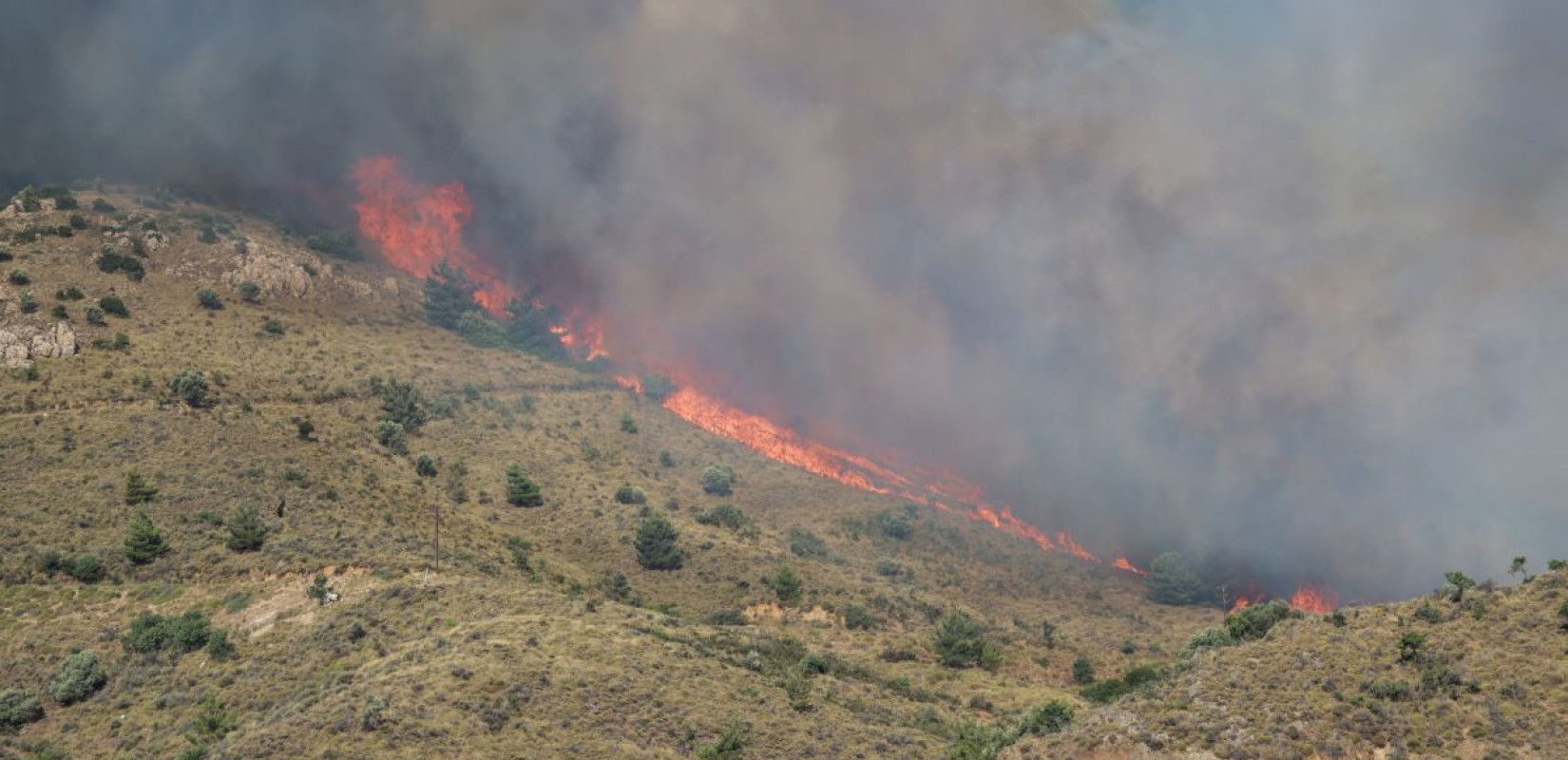 Συνελήφθη 30χρονη για την πυρκαγιά στη Βόρεια Χίο - Αποκάλυψε πώς προκάλεσε τη φωτιά