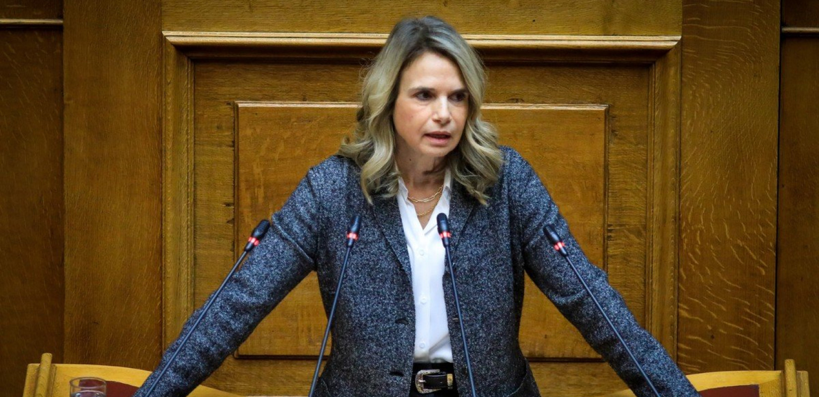 Μ. Αποστολάκη για ΟΠΕΚΕΠΕ: «Η καταψήφιση για σύσταση προανακριτικής επιτροπής είναι άρνηση της ΝΔ στην οφειλόμενη λογοδοσία»