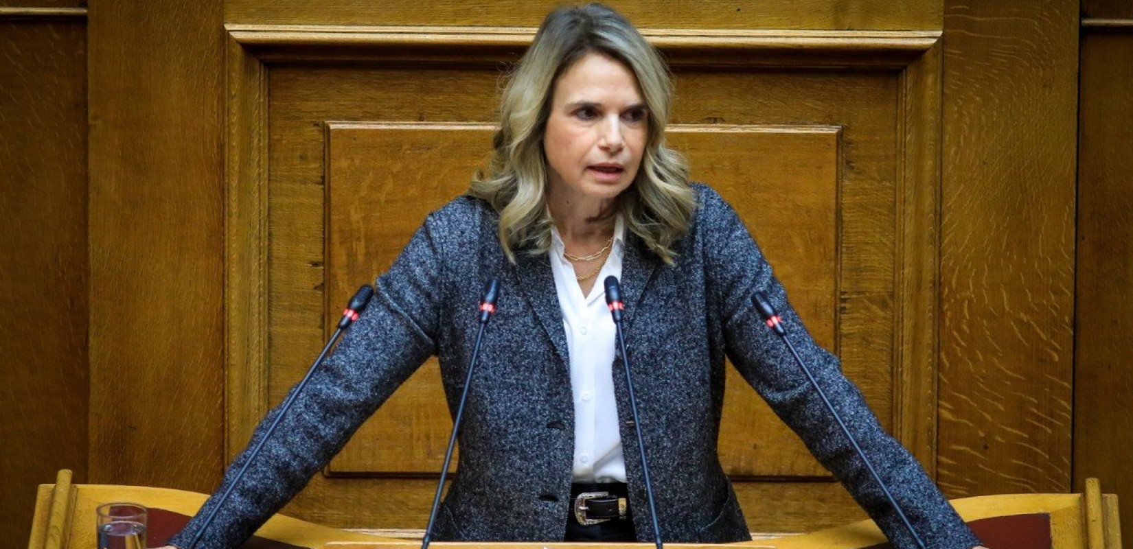 Μ. Αποστολάκη: «Η κυβέρνηση αναπαράγει με όρους ανισότητας τον φαύλο κύκλο του ιδιωτικού χρέους»