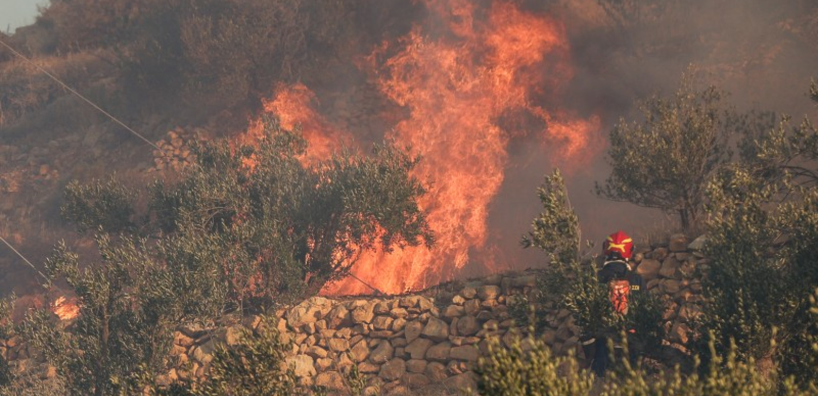 Πυροσβεστική: 50 αγροτοδασικές πυρκαγιές το τελευταίο εικοσιτετράωρο σε όλη τη χώρα