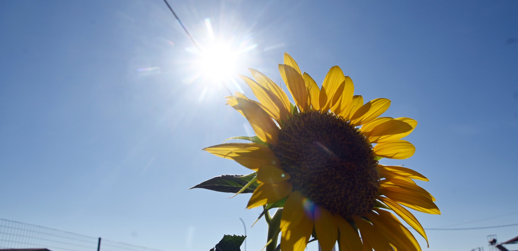 Συνεχίζεται ο καύσωνας με 40άρια και σήμερα σε όλη τη χώρα - Μέχρι 42 βαθμούς στην Κ. Μακεδονία